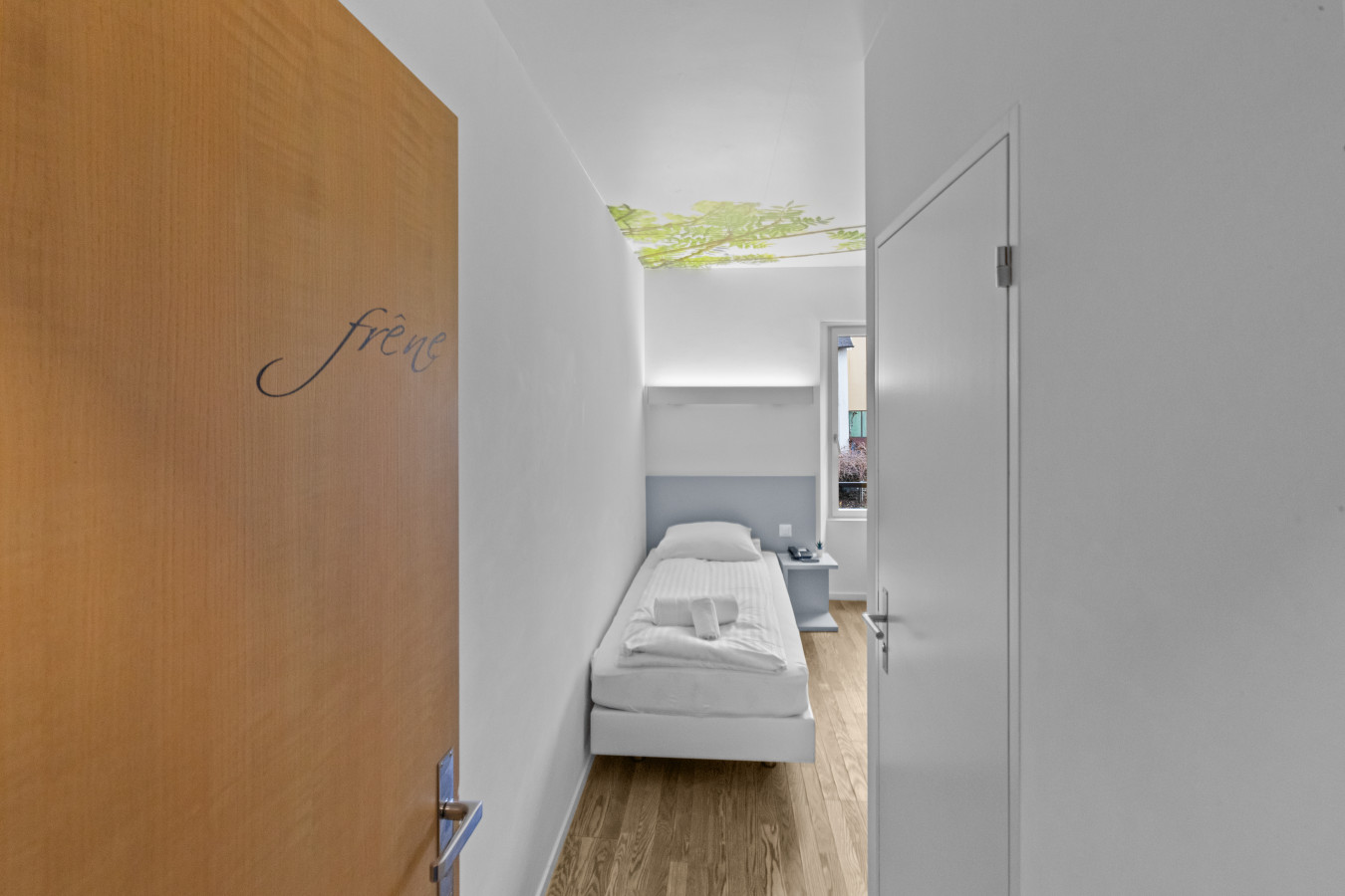 Chambre simple, Frêne