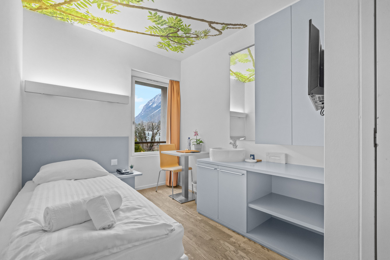 Chambre simple, Frêne